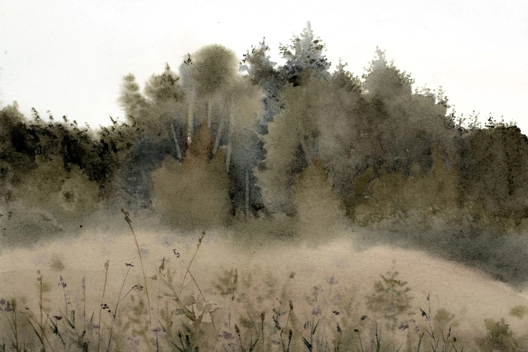 Flourishing Field IV | Collection Prints