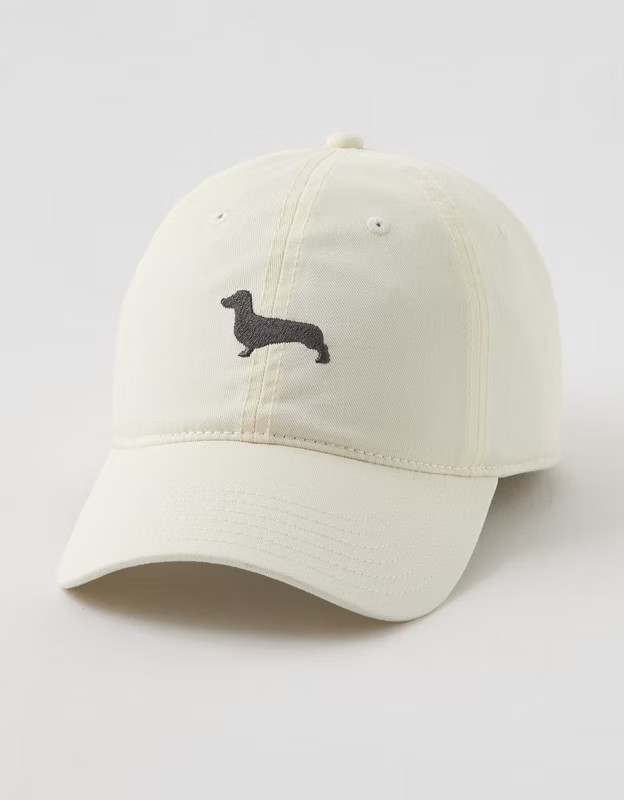 Aerie Graphic Baseball Hat | Aerie