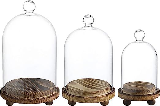 Mini Glass Display Dome Cloche with Wood Base, Set of 3 | Amazon (US)