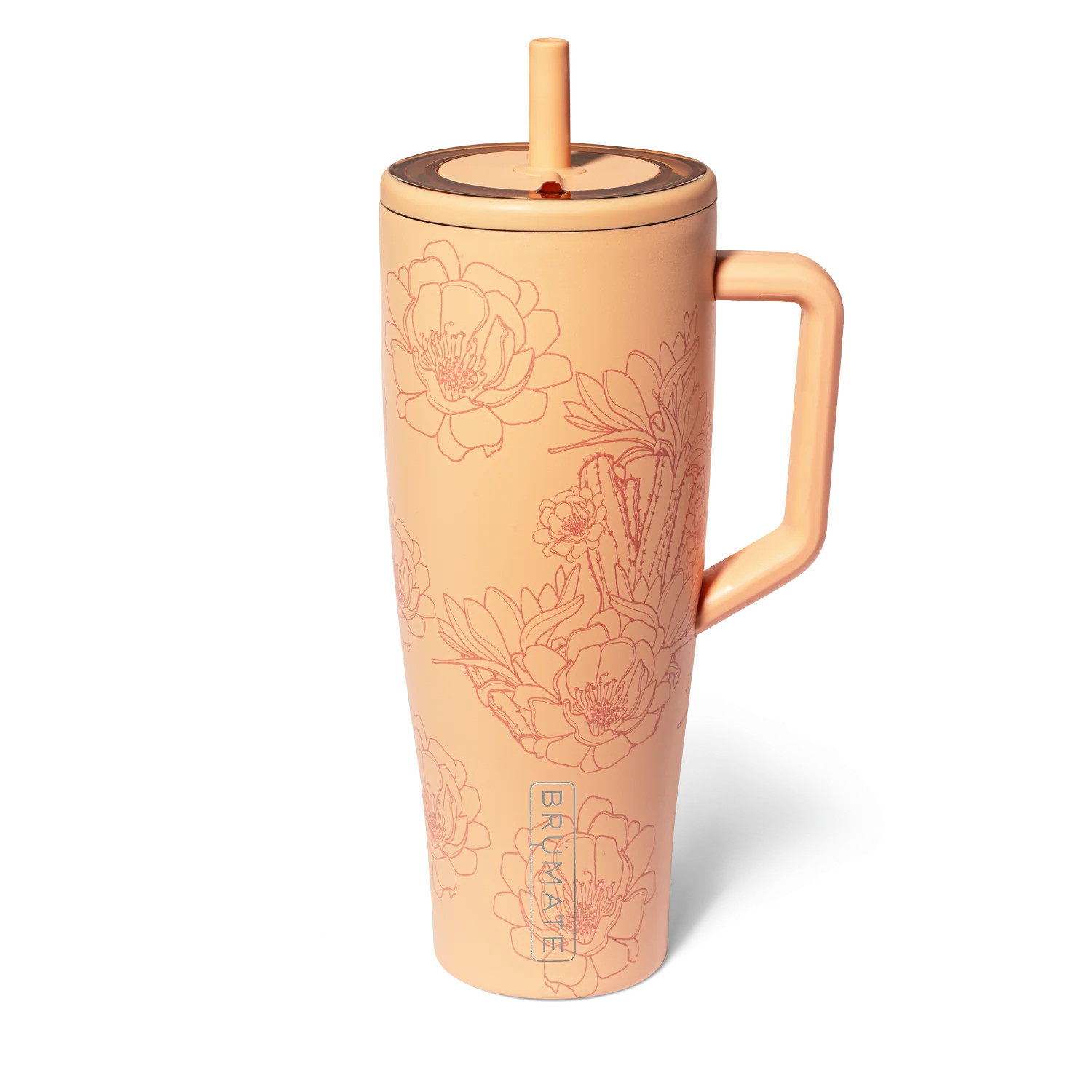 Cactus Flower | Brumate