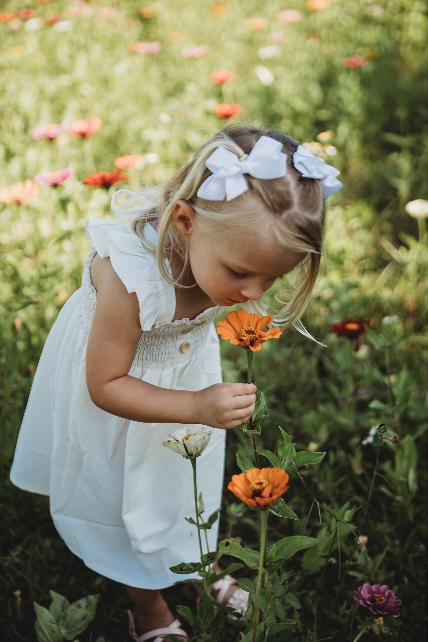 Toddler dress; white dress; dress for family photos 

#christianblairvordy 

#LTKFamily #LTKFindsUnder50 #LTKKids