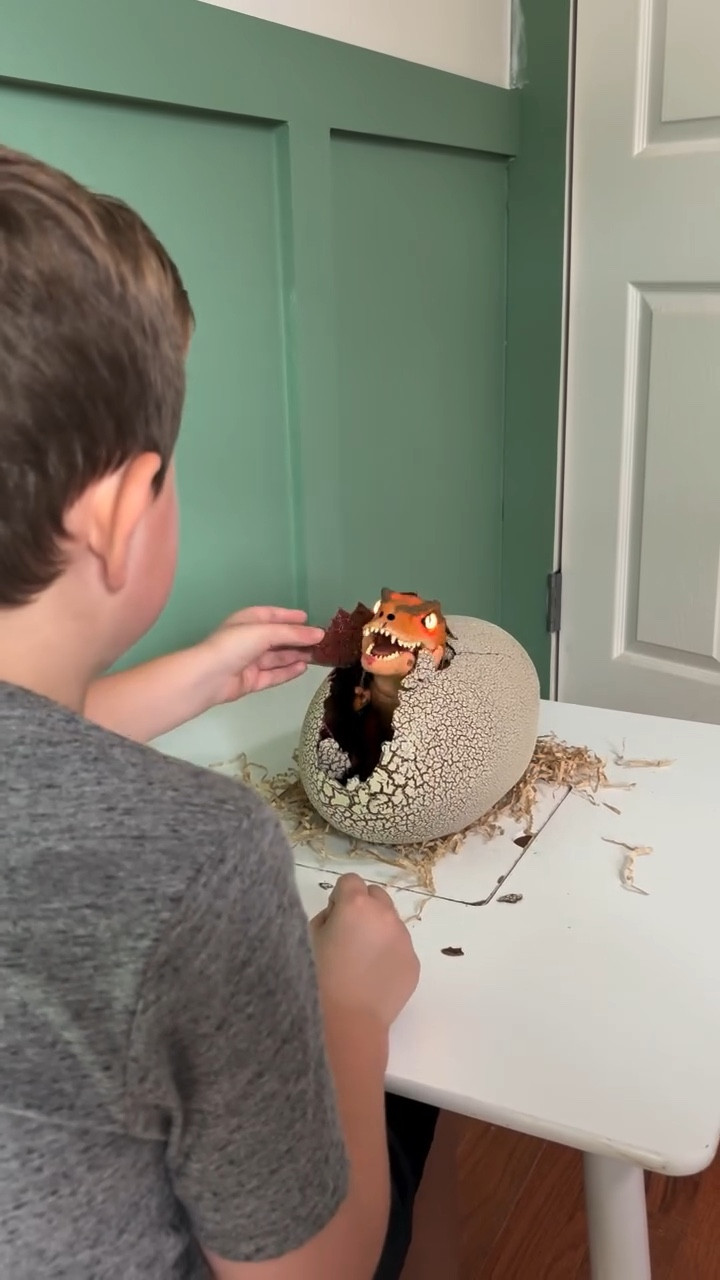 #ad how to train your.. dinosaur?! The new Primal Hatch Jurassic World T. Rex is every dino loving kid’s dream! 🥚 We gave the egg a few taps and soon enough the shell started to crack ..out popped out new dino friend “Tiki” 🦖 Tiki has detailed features, over 100 sounds and reactions, and eyes that change with his mood! Using the clicker and food 🥩, Hunter is training his dinosaur to be a friend but it can also be trained to be a dangerous predator *rawr* 🦖

✨ comment DINO and I’ll DM you a link to add the Primal Hatch Dino to your @target cart now - it’s sure to be a favorite this holiday season! @targetstyle #target #targetstyle

#njmomblogger #njblogger #momblogger #dinotoys #toysforkids #toysforboys #toysforgirls #holidaywishlist #toyguide #toysforchristmas #christmaswishlist #njmoms #christmastoys #giftideas #giftguide #giftsforkids