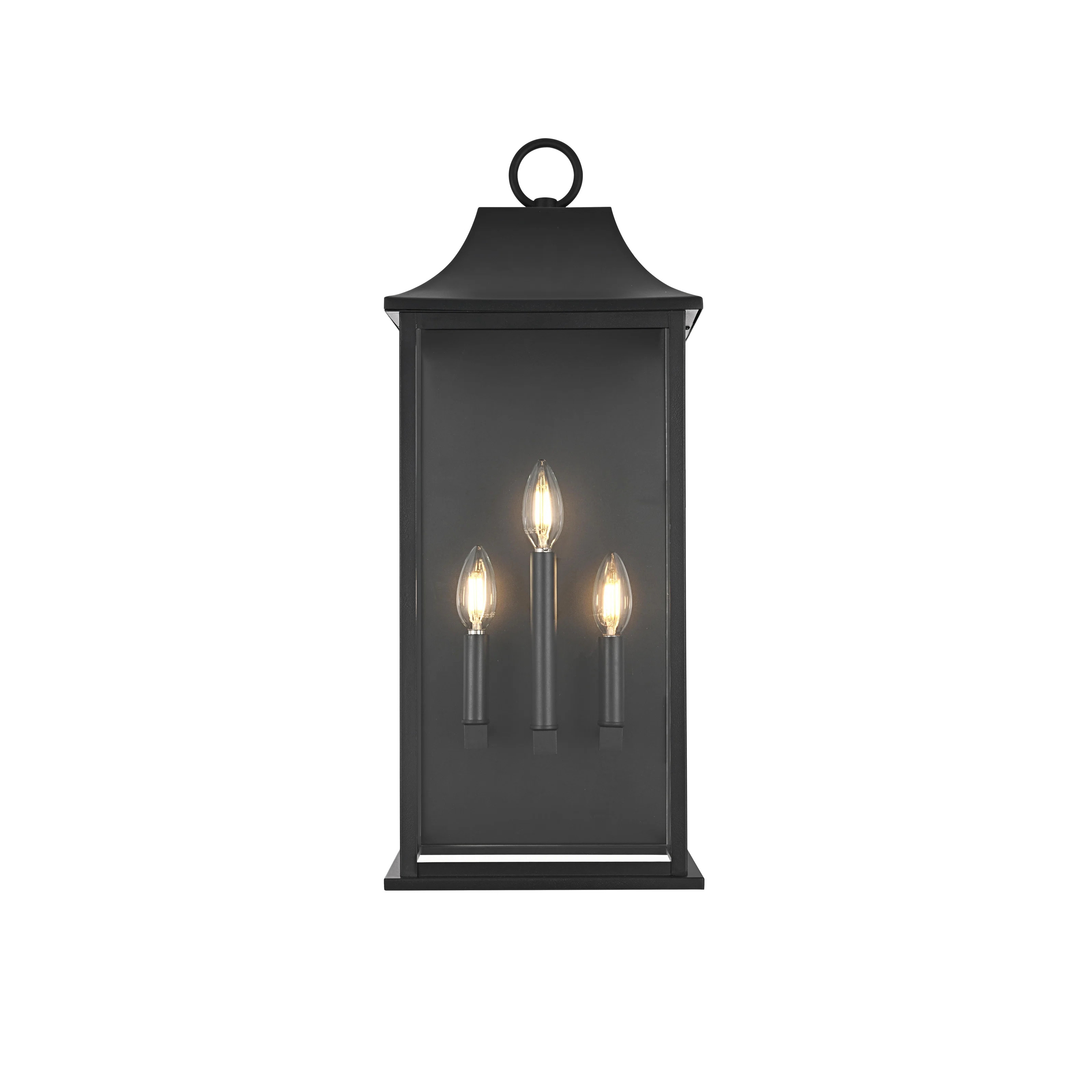 Hanover 10 inch Outdoor Wall Sconce in Black | Wayfair North America