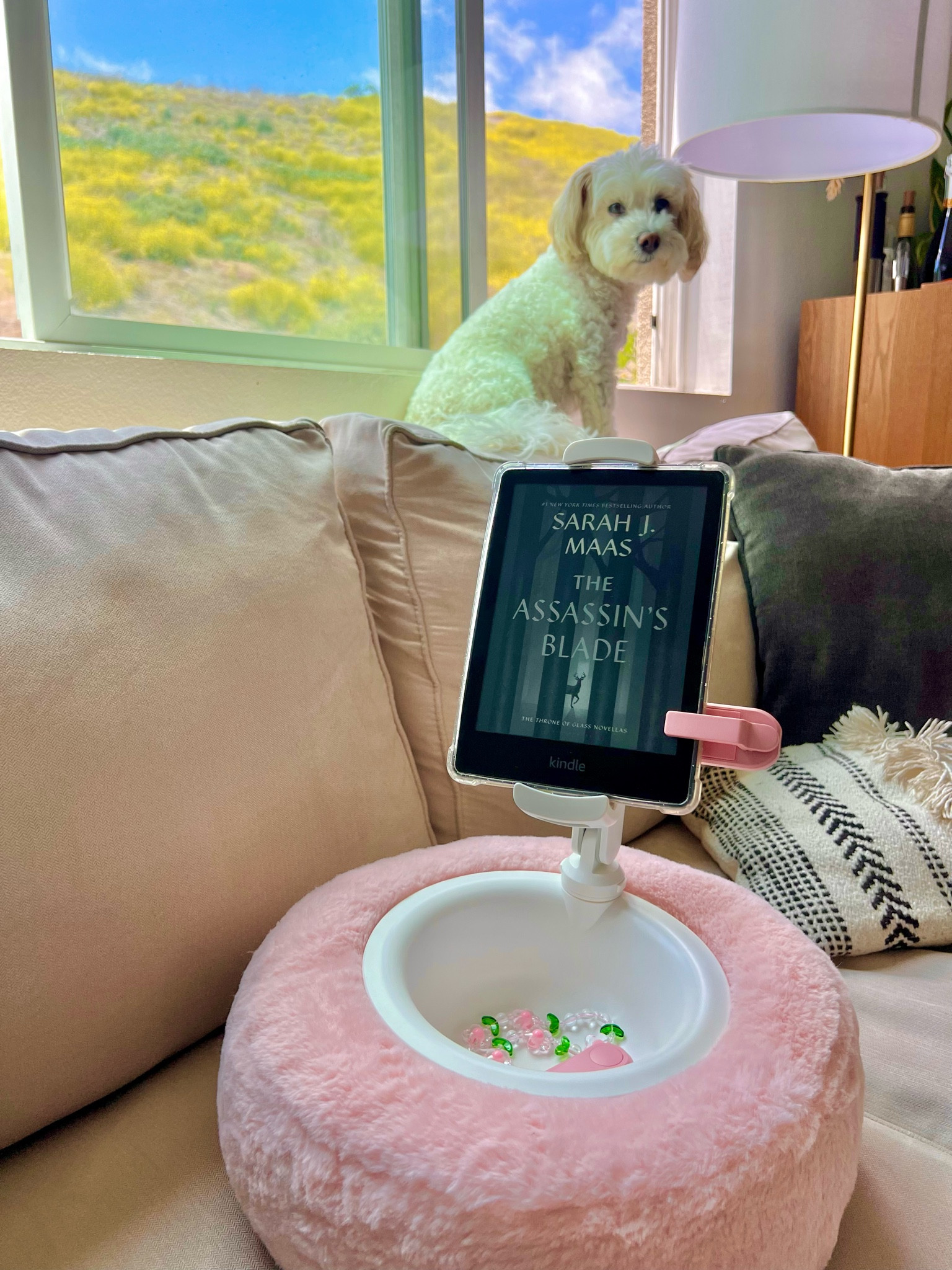 Ultimate reading setup 💕

#LTKFindsUnder50 #LTKHome #LTKGiftGuide