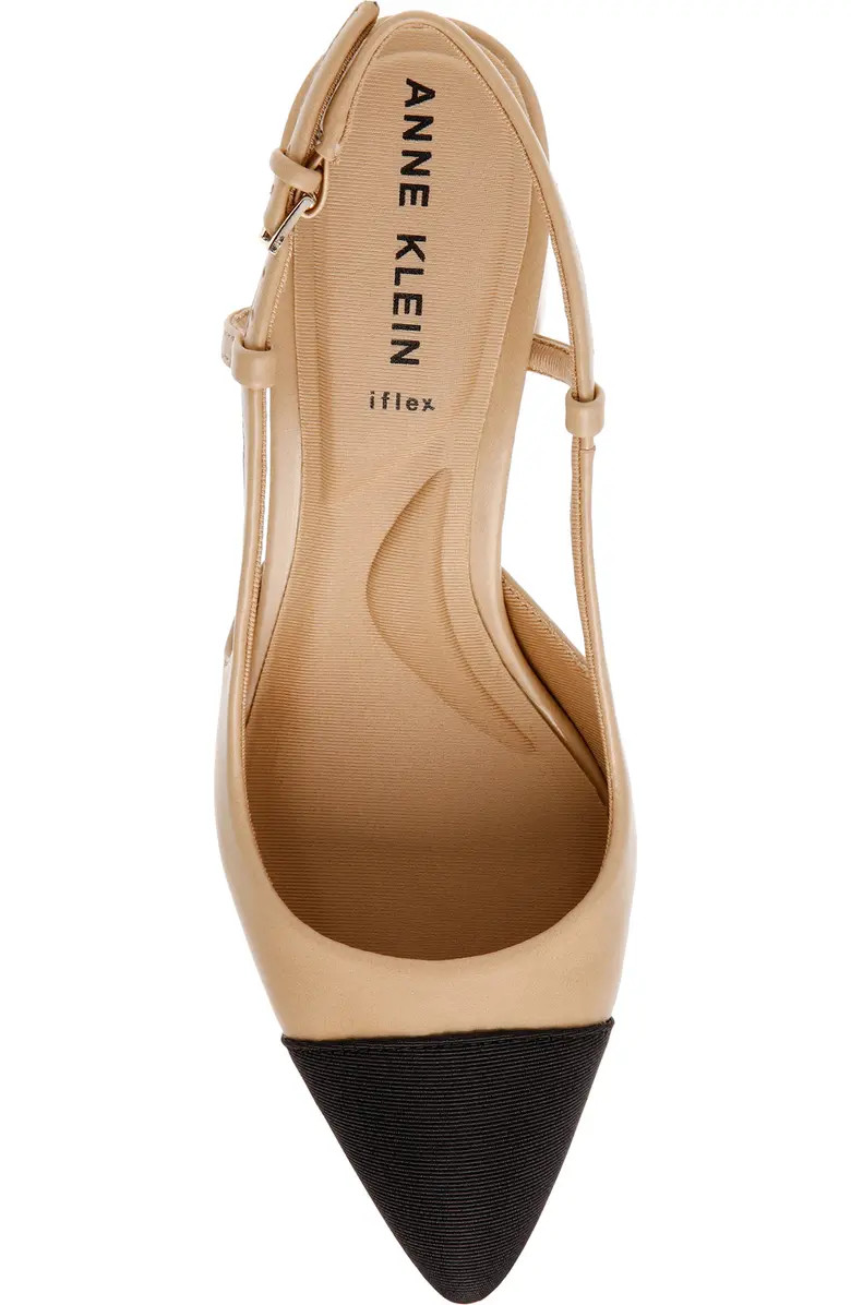 Brinlee Pointed Toe Pump (Women) | Nordstrom