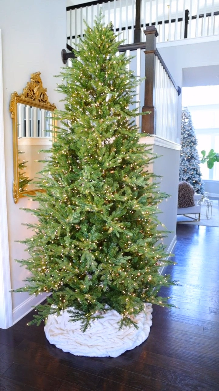 How many trees is too many? My plan is 8 this year! I’ve decorated a few already and will have everything Christmas ready by next weekend. I have a range from affordable to splurge worthy trees in my home. The 4 trees in this video are from BH, Home Depot, and King of Christmas. 

#christmastrees #homedepottree #twinkletree #twinklingtree #kingofchristmas #balsamhill #christmasdecor #christmasdecorations #christmasiscoming 