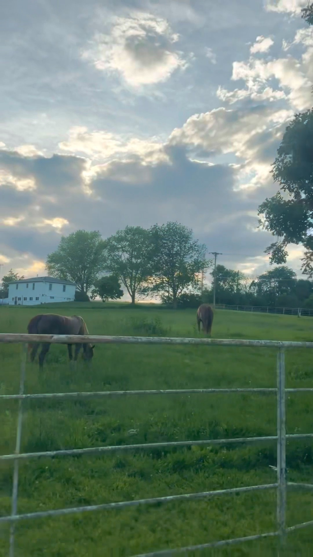 nights at the barn >>> linking my ootd 

#LTKU #LTKSummerEdit #LTKSeasonal