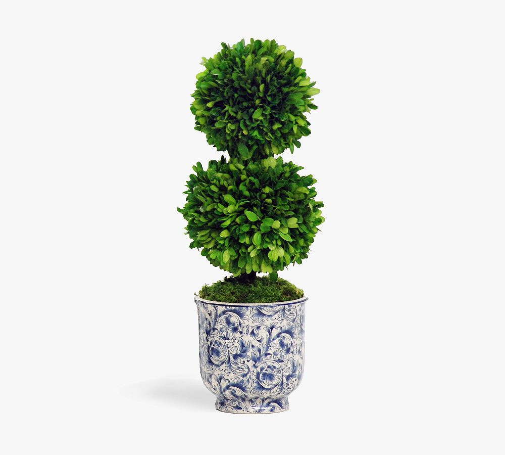 Faux Double Boxwood Ball Topiary In Ceramic Pot | Pottery Barn (US)
