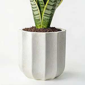 12 Inch Plant Pot – Ceramic Planter with Drainage Hole & Removable Drain Plug, Decorative Flowe... | Amazon (US)
