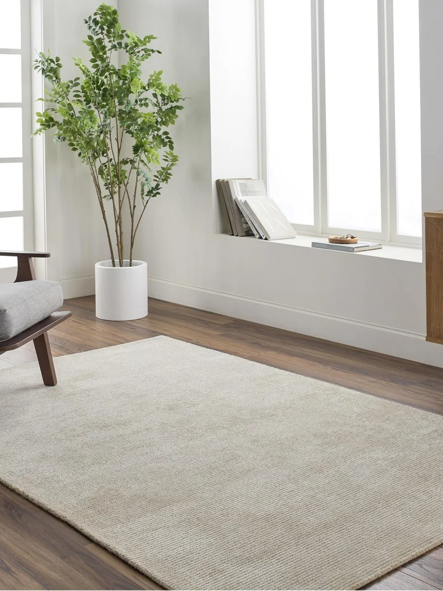 If your living room has been feeling a little unfinished, check the Wayfair 48-HOUR CLEARANCE 👏 Area rugs are up to 70% OFF and there are so many pretty options right now. Loving the neutral, patterned, textured and vintage-look rugs for an easy fall home refresh.
#WayfairFinds #WayfairClearance #AreaRug #LivingRoomDecor #IndoorRug #FallHomeDecor #CozyHome #RugInspo #NeutralHome #HomeDecorFinds #AffordableHomeDecor #LivingRoomRefresh #LTKFinds 

 #LTKSeasonal #LTKHome #LTKSaleAlert
