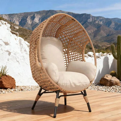 Hanging Egg Chair with 8-Inch Cushion, 400 lbs Capacity, Galvanized Steel Frame | Wayfair North America