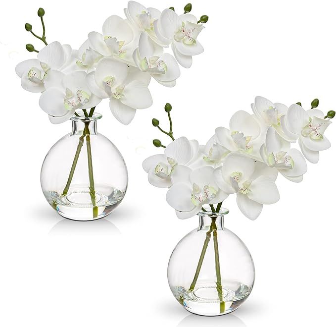 White Orchids Artificial Flowers Faux Orchid Arrangement with Clear Glass Vase Set of 2 Real Touc... | Amazon (US)