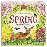 Spring In The Forest Deluxe Lift-a-Flap & Pop-Up Seasons Children's Board Book (Lift-a-flap Surprise | Amazon (US)