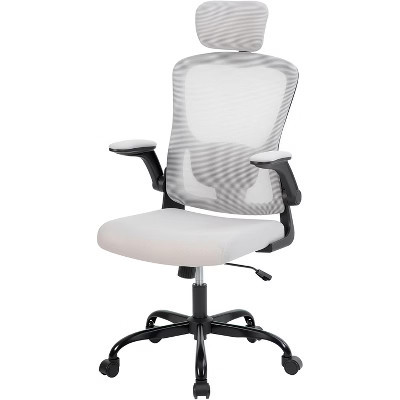 Office Computer Chair with Headrest, Mesh Home Office Chair with Adjustable Back Support and Armrest | Target