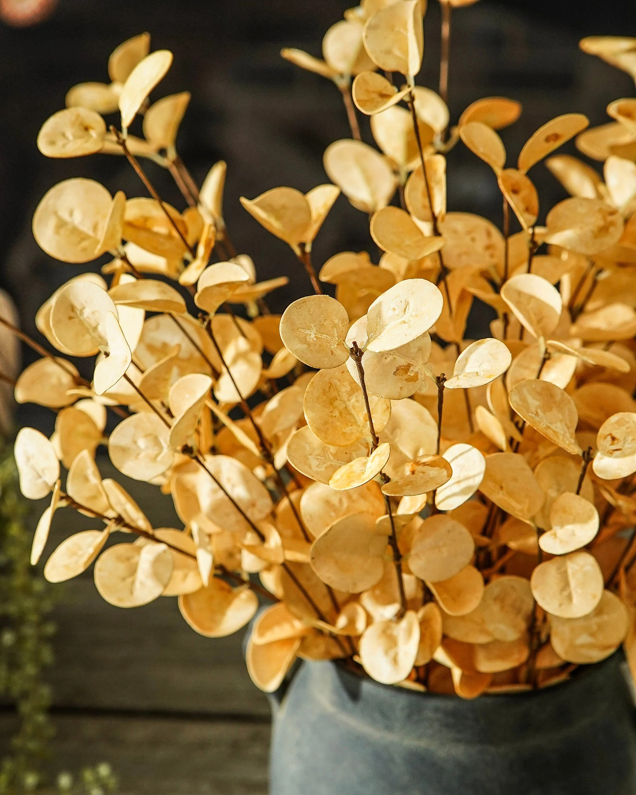 Golden Wheat Eucalyptus Stem | MJHome