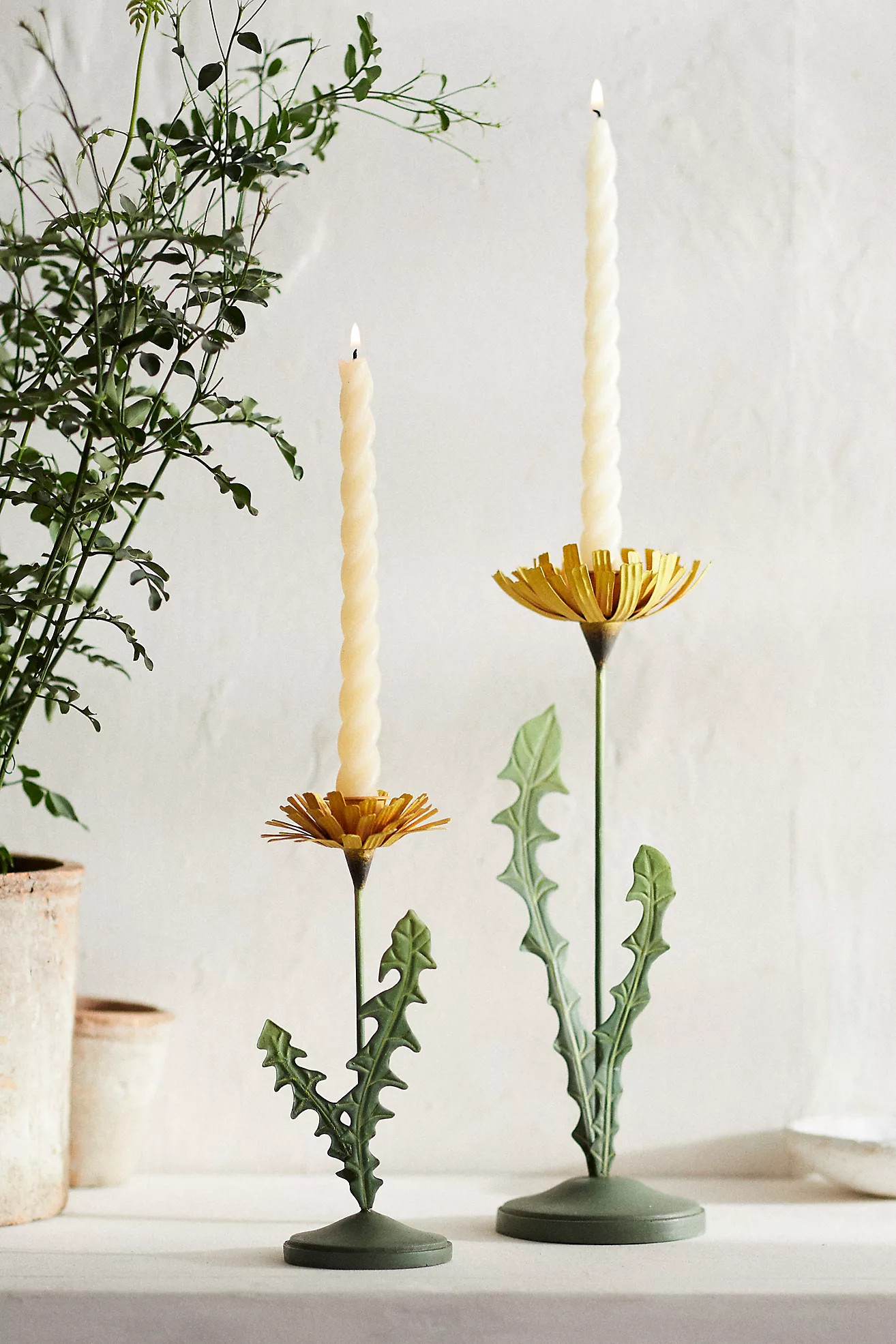 Dandelion Taper Holder | Anthropologie (US)