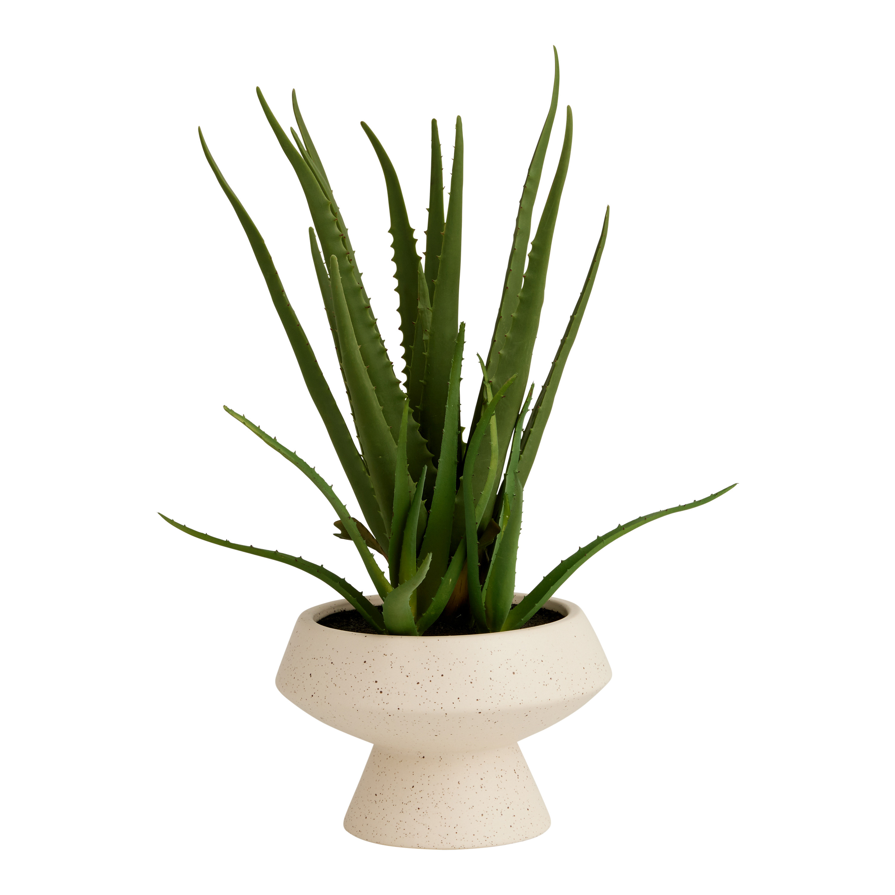 Faux Aloe Plant in Speckled Ivory Ceramic Pot - World Market | World Market