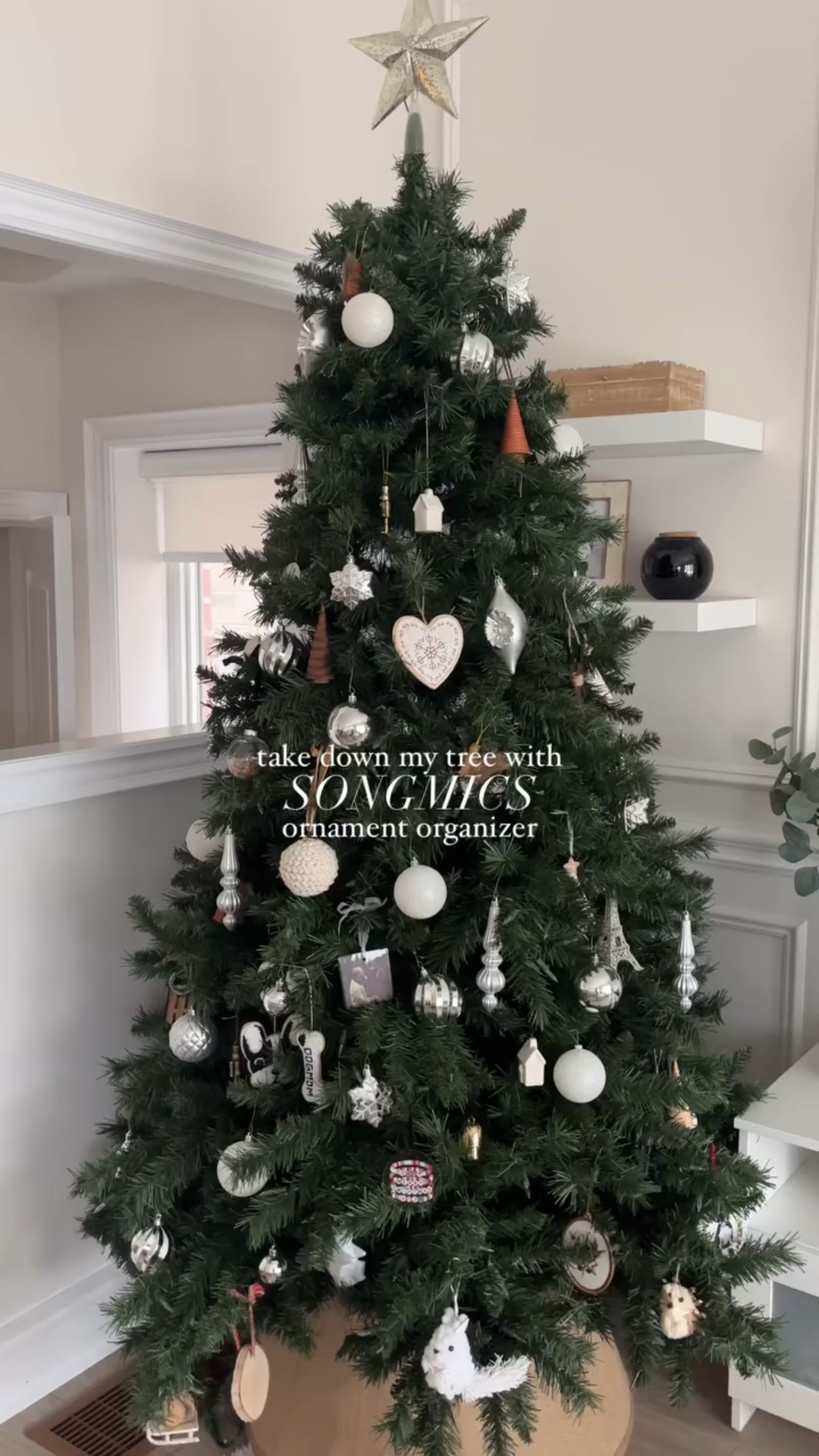 Can you believe it took me 4 years to get an ornament organizer?

Every year I would say “I’ll get one next year”, well 2026 is the year I finally got one and I’m so glad! 

This organizer is by @songmicshome and fits up to 64 ornaments. I organized mine by colour and labeled it accordingly. I plan on switching my colour scheme next year, which means I’ll be able to easily find the bin I need. 

So here’s to 2026 and being more organized! ✨

#Organization #ChristmasOrganization #OrnamentStorage

#LTKhome #LTKholiday #LTKsale