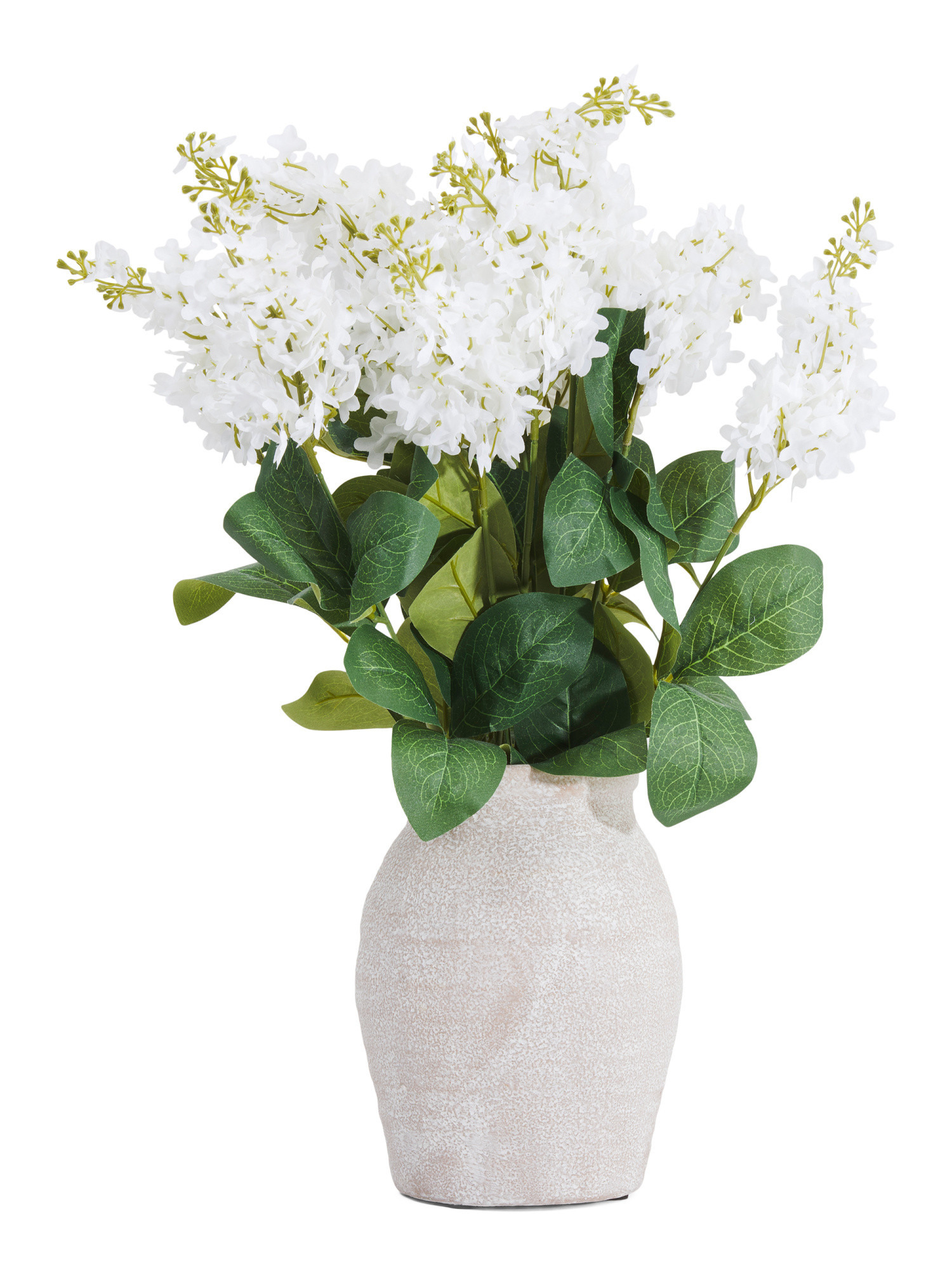 Lilac Arrangement In Pot | TJ Maxx