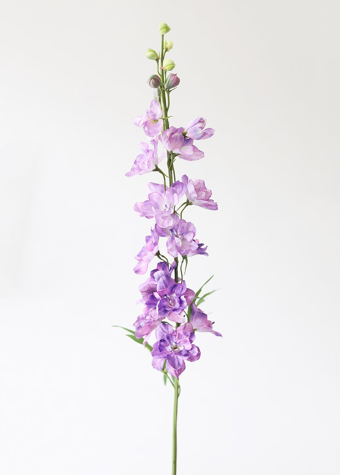 Lavender Ombre Faux Delphinium Larkspur - 36" | Afloral (US)