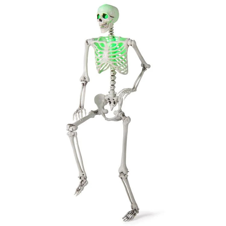 5.5 FT Halloween Skeleton Life-Size Posable for Indoor Outdoor Decoration | Shop Simon