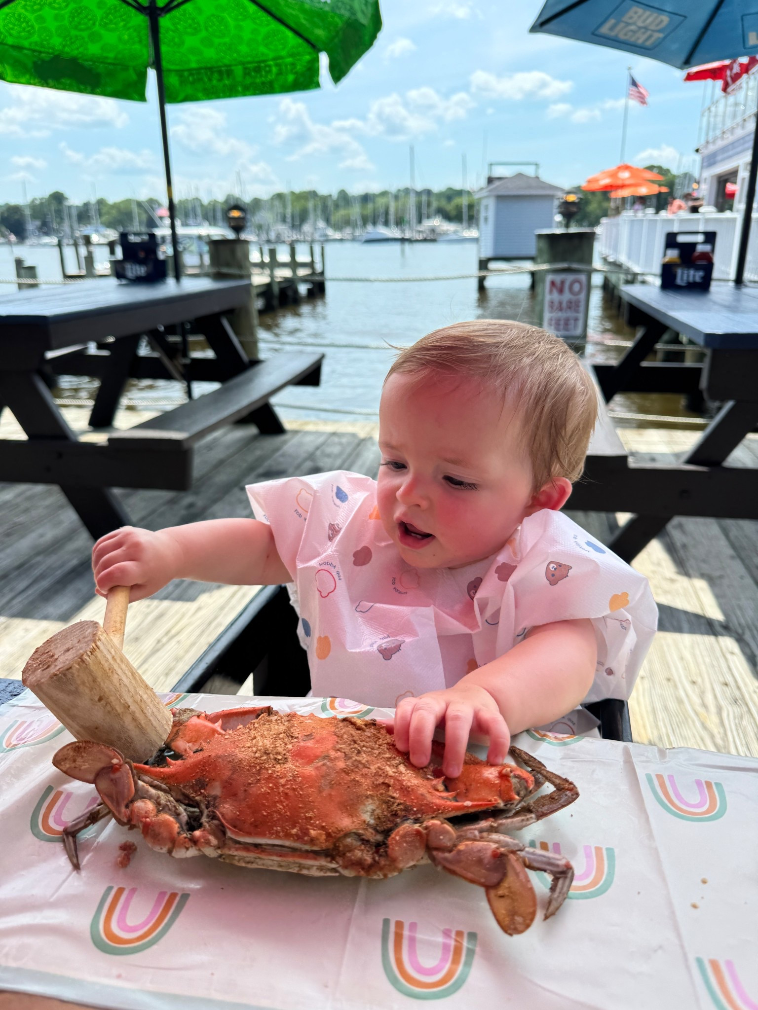 Disposable bib and placemats