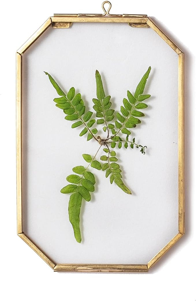 NCYP 4" x 6" Small Glass Floating Frame with Chain for Artwork Photo, Picture, Pressed Dried Flow... | Amazon (US)