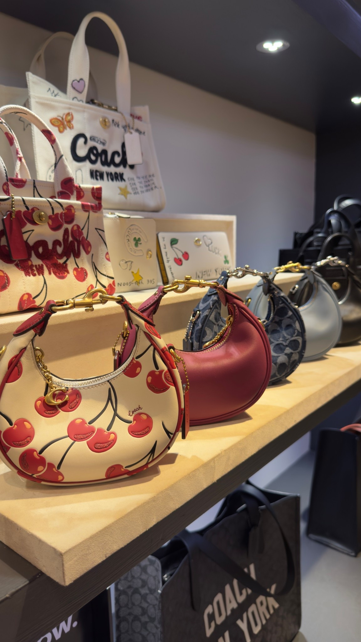 Coach bags🔥

#LTKStyleTip #LTKItBag #LTKBeauty