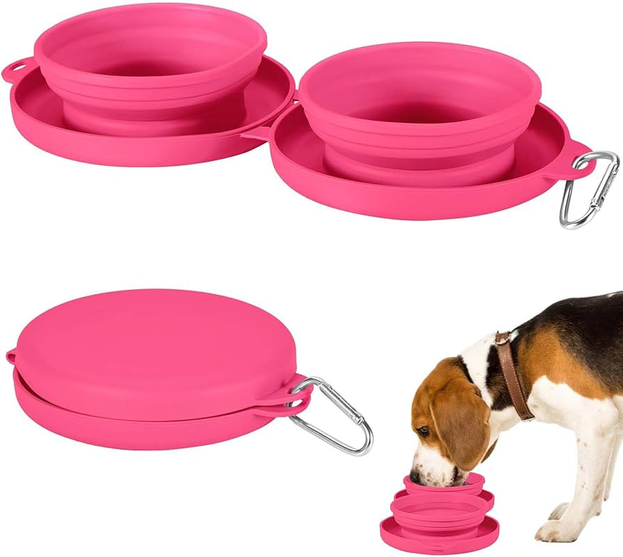Collapsible Dog Water Bowl 2 in 1 Foldable Pet Food and Water Bowl Portable Cats Dishes with Cara... | Amazon (US)