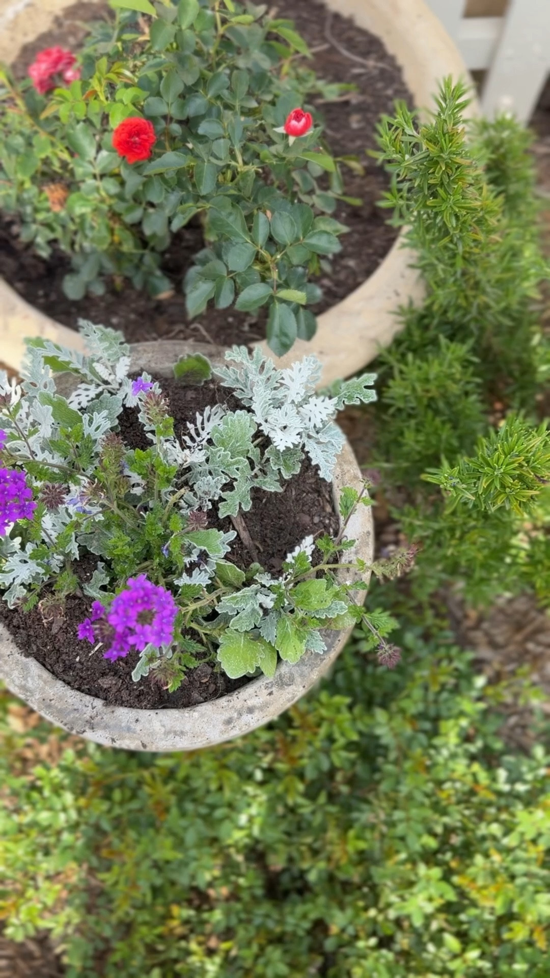 Large planters! 

#LTKHome #LTKSeasonal