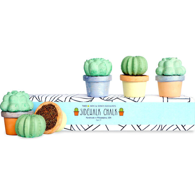 TWEE Handmade Sidewalk Chalk Maya & Siona's Succulents | Maisonette
