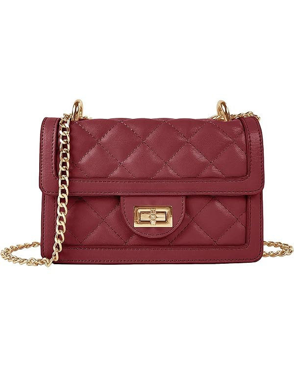 SG SUGU Small Quilted Crossbody Bag, Trendy Designer Mini Shoulder Bag, Phone Wallet Purse for Wo... | Amazon (US)