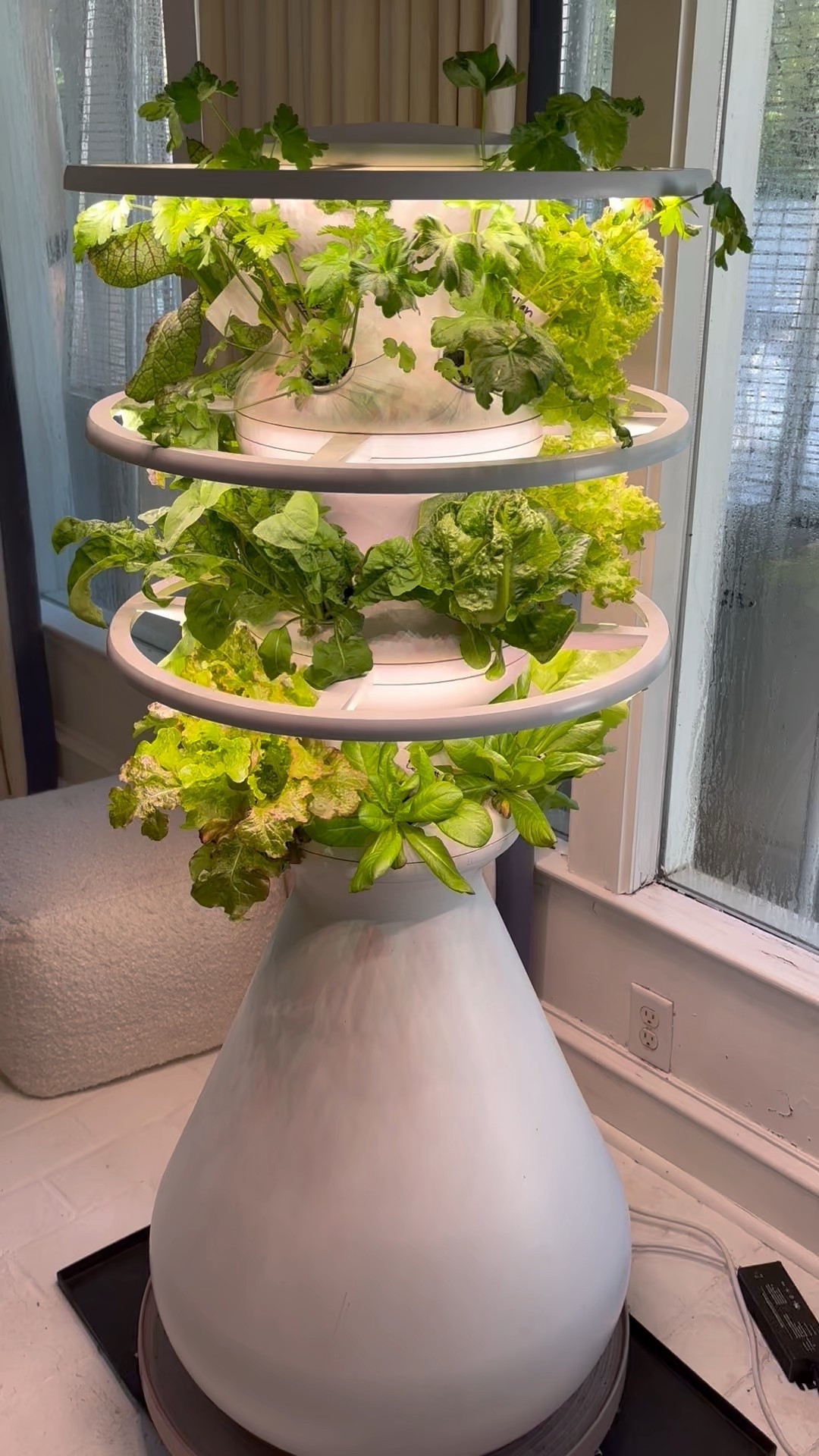 Nothing makes you feel more successful than the ease of growing in a Lettuce grow farm stand. 

And my food (hello BLT!) feels more fun when I grew part of it. 🥬