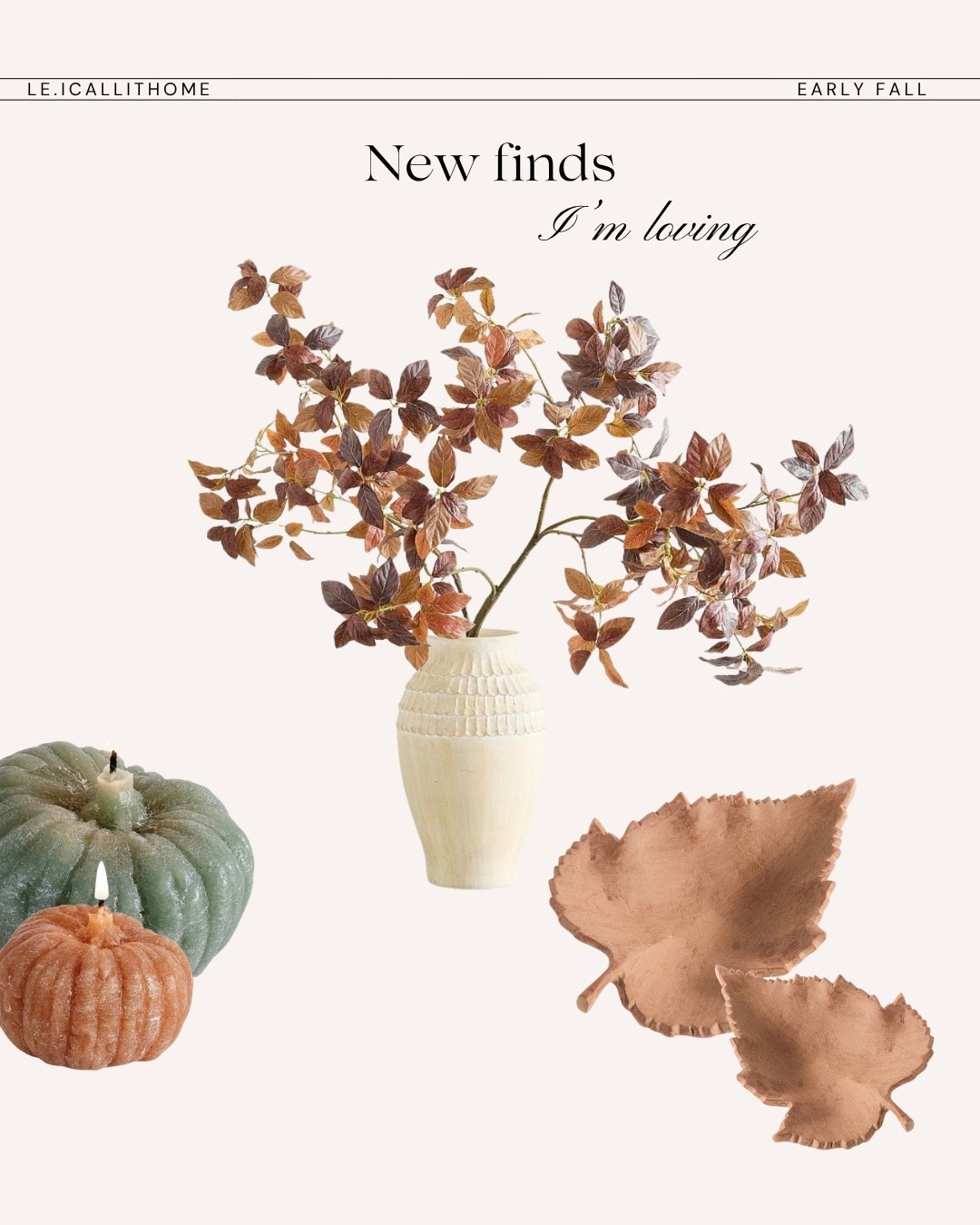 New Fall decor I’m loving 🍁🍂

#LTKSeasonal #LTKHome