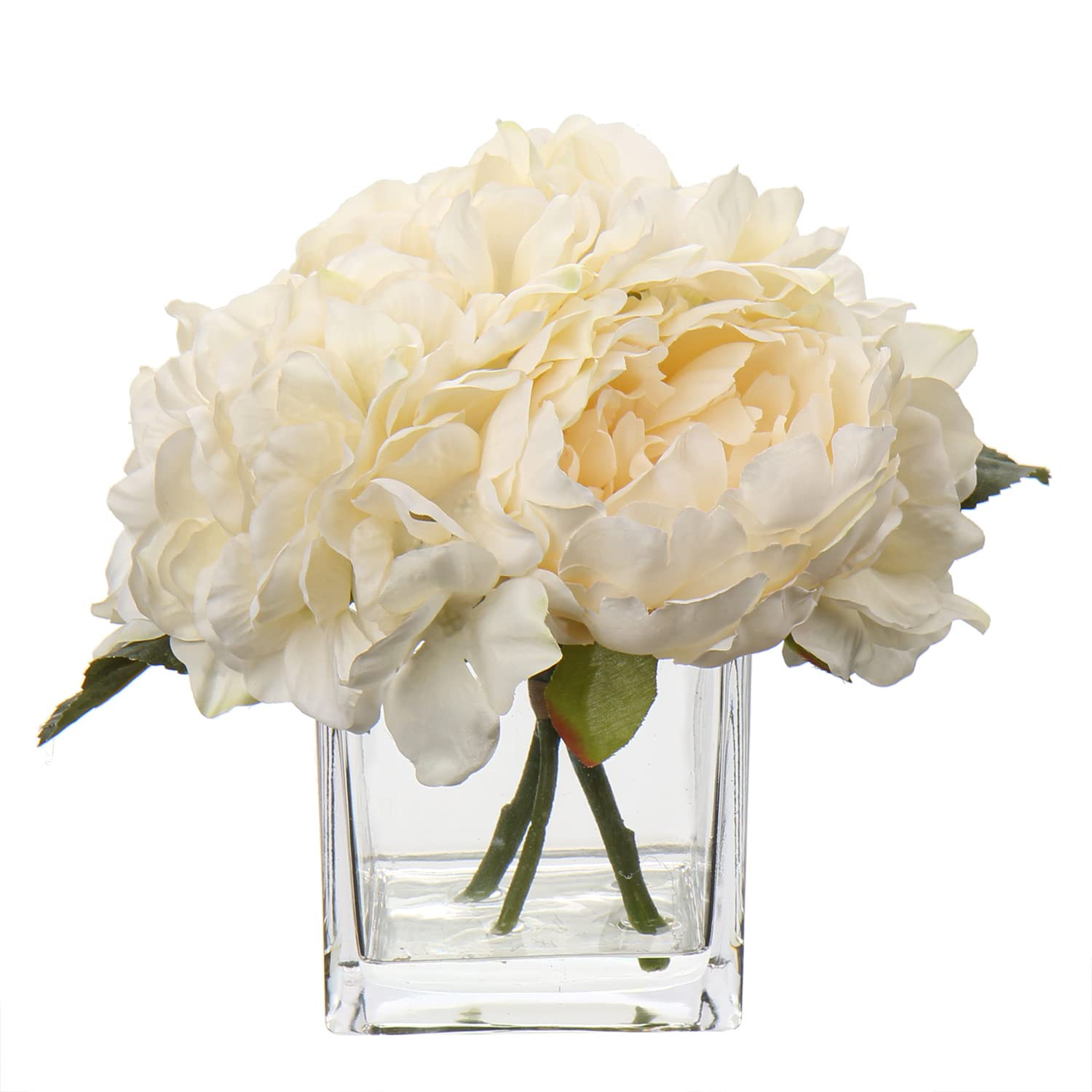 Cream-peony | Amazon (CA)