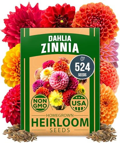 HOME GROWN 𝗨𝗦𝗔 𝗣𝗥𝗘𝗠𝗜𝗨𝗠 Zinnia Dahlia Seeds Pack for 2025 – 524 𝗡𝗢𝗡-𝗚𝗠𝗢 Flower Seeds | Vibrant Zinnia Elegans for Pollinator Gardens, Borders & Containers | Easy-to-Grow Outdoor Blooms | Amazon (US)