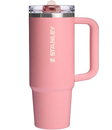 Stanley The Quencher ProTour Flip Straw Tumbler 30 oz. - Pink Mesa | Dillard's