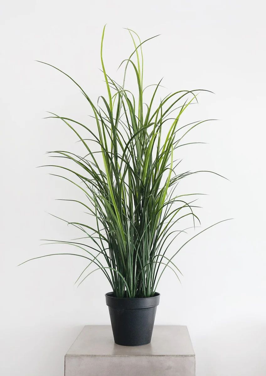 UV Protected Outdoor Grass Plant - 38 | Afloral (US)
