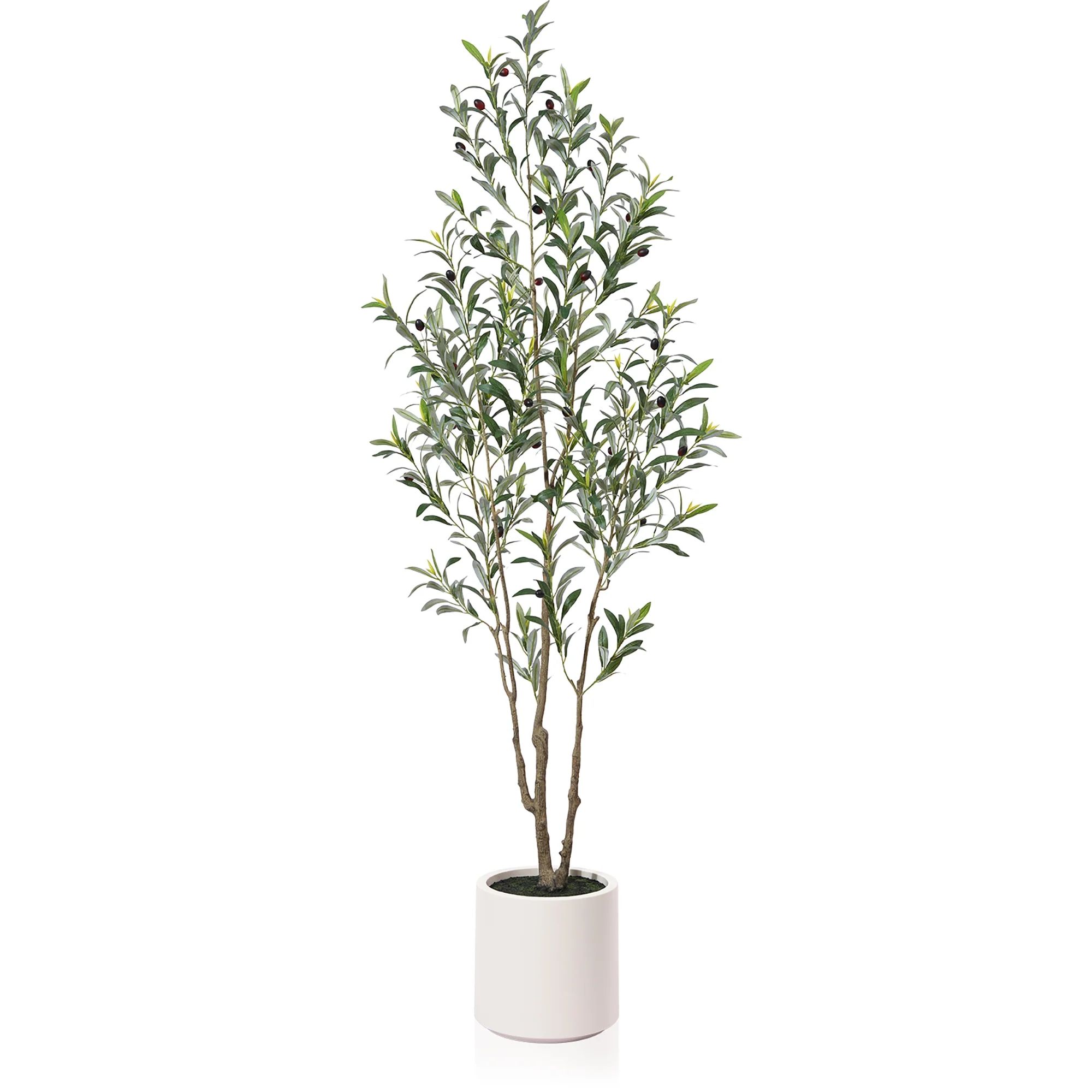 6FT  Large Artificial Olive Tree Plant in White Planter With Lifelike Moss. 10 lb. DR.Planzen | Walmart (US)