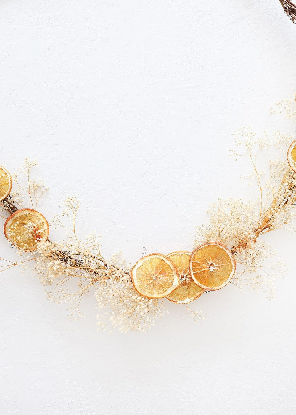 Bag of 20 Preserved Orange Slices - 1.5-3 | Afloral (US)