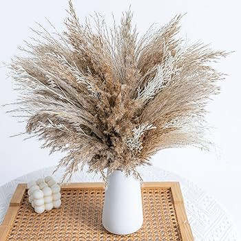 WILD AUTUMN Fluffy Boho Decor Dried Grass - Dried Pampas Grass Short pompas Grass Vase Filler Dri... | Amazon (US)