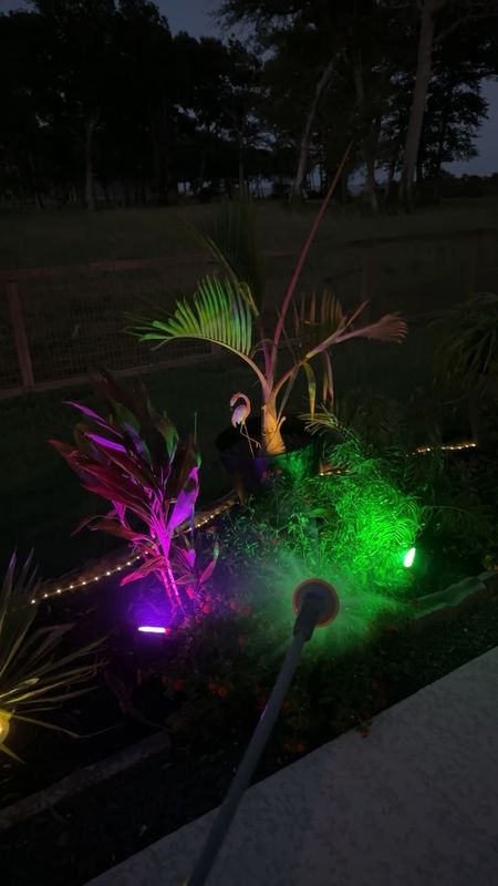 Solar lights and favorite garden hose sprayer. I have both the solar color changing up lights and the disc lights in the back flowerbeds. I use the daylight uplights in the front yard.  

#LTKSeasonal #LTKhome