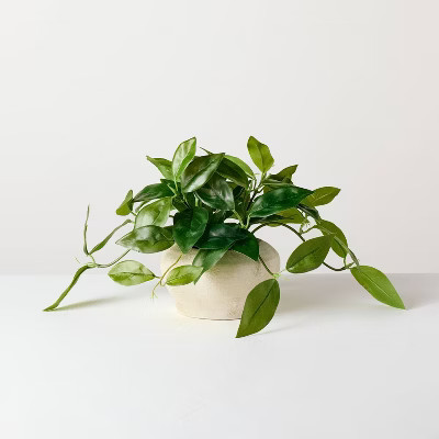 8.5" Small Trailing Hoya Leaf Potted Artificial Plant - Hearth & Hand™ with Magnolia | Target