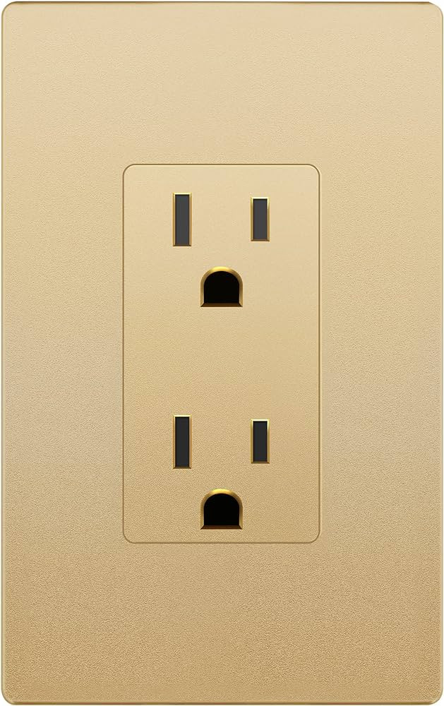LIDER Matte Finish Decorator Receptacle with Interchangeable Face Cover, Child Safe Tamper-Resist... | Amazon (US)