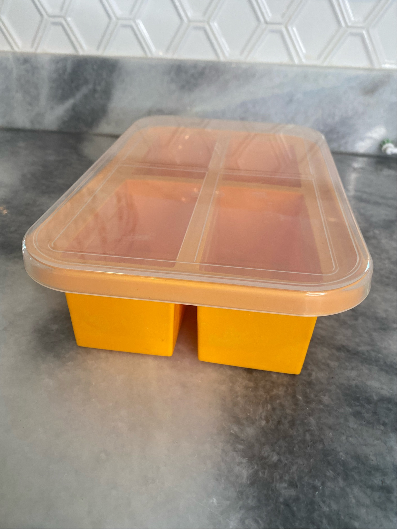 Freezer soup trays