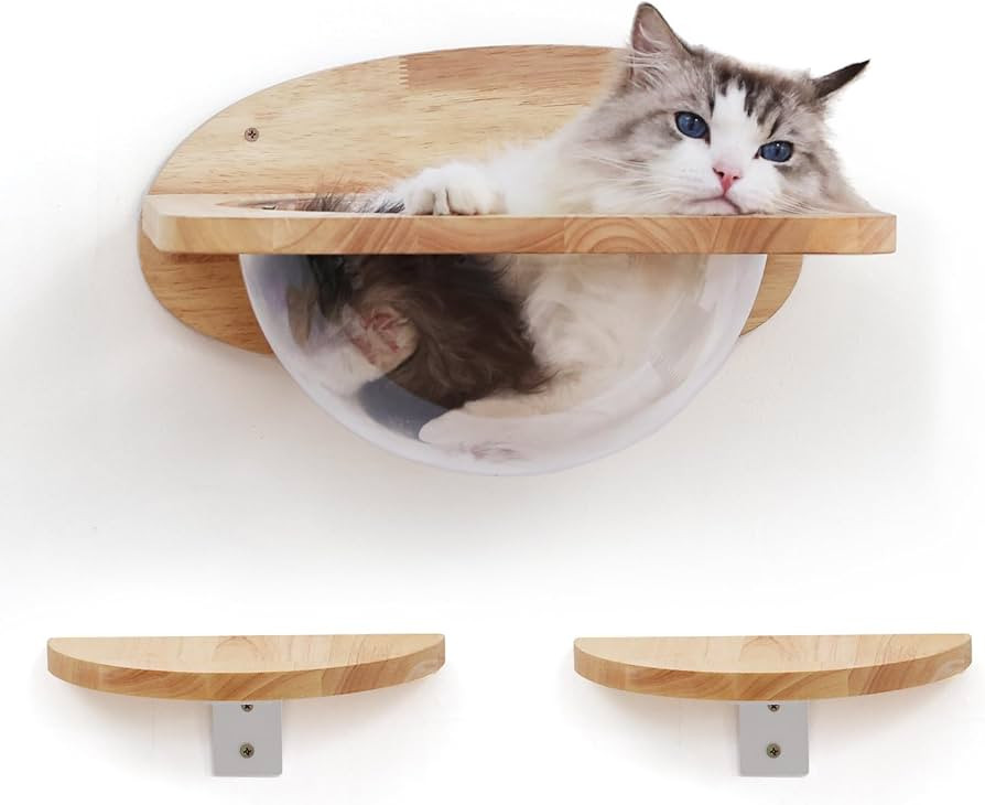 FUKUMARU Cat Wall Furniture Set, Transparent Capsule Cat Wall Shelves with 2 PCS Pedals - Premium... | Amazon (US)