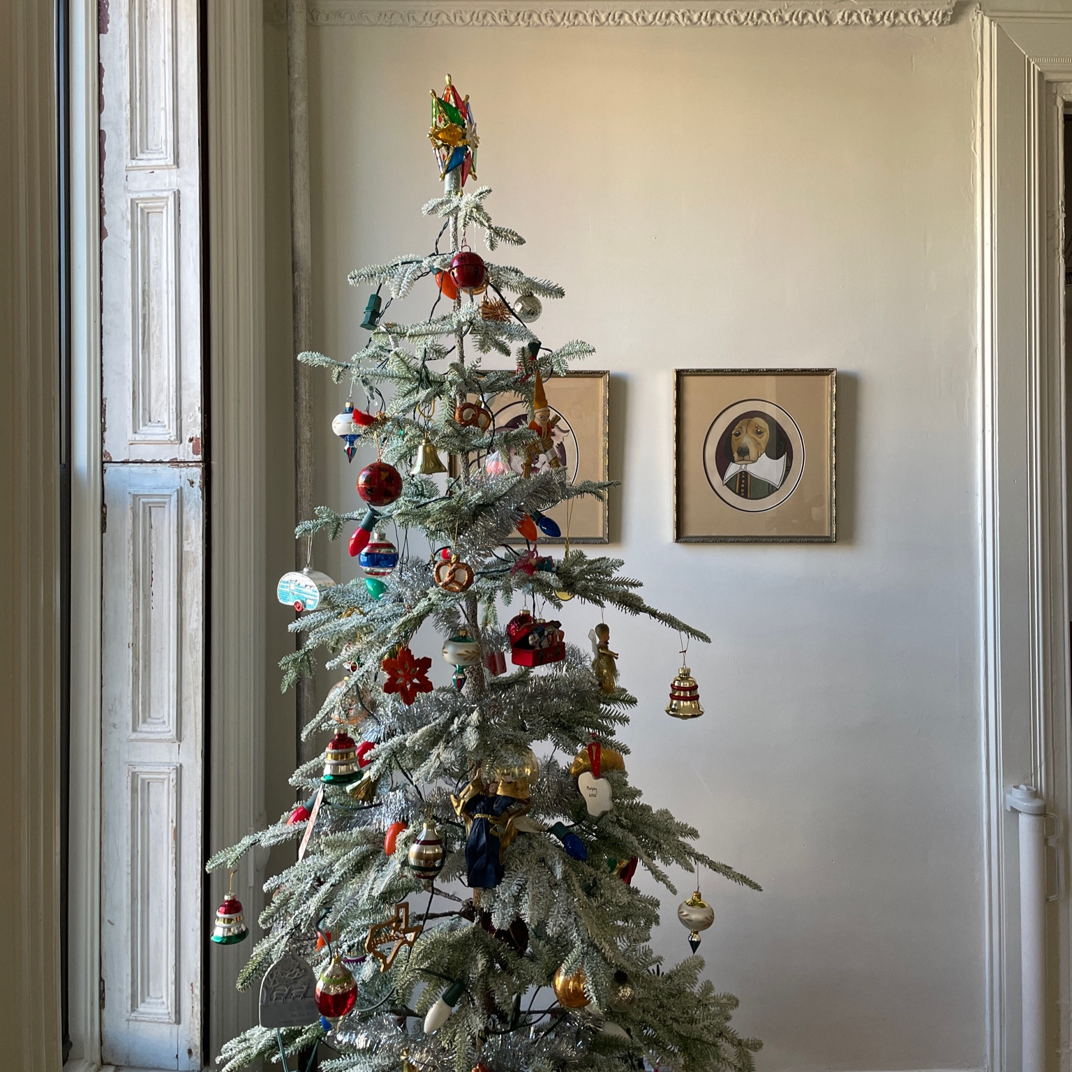 The recipe for our Christmas tree 

#LTKfamily #LTKSeasonal #LTKHoliday