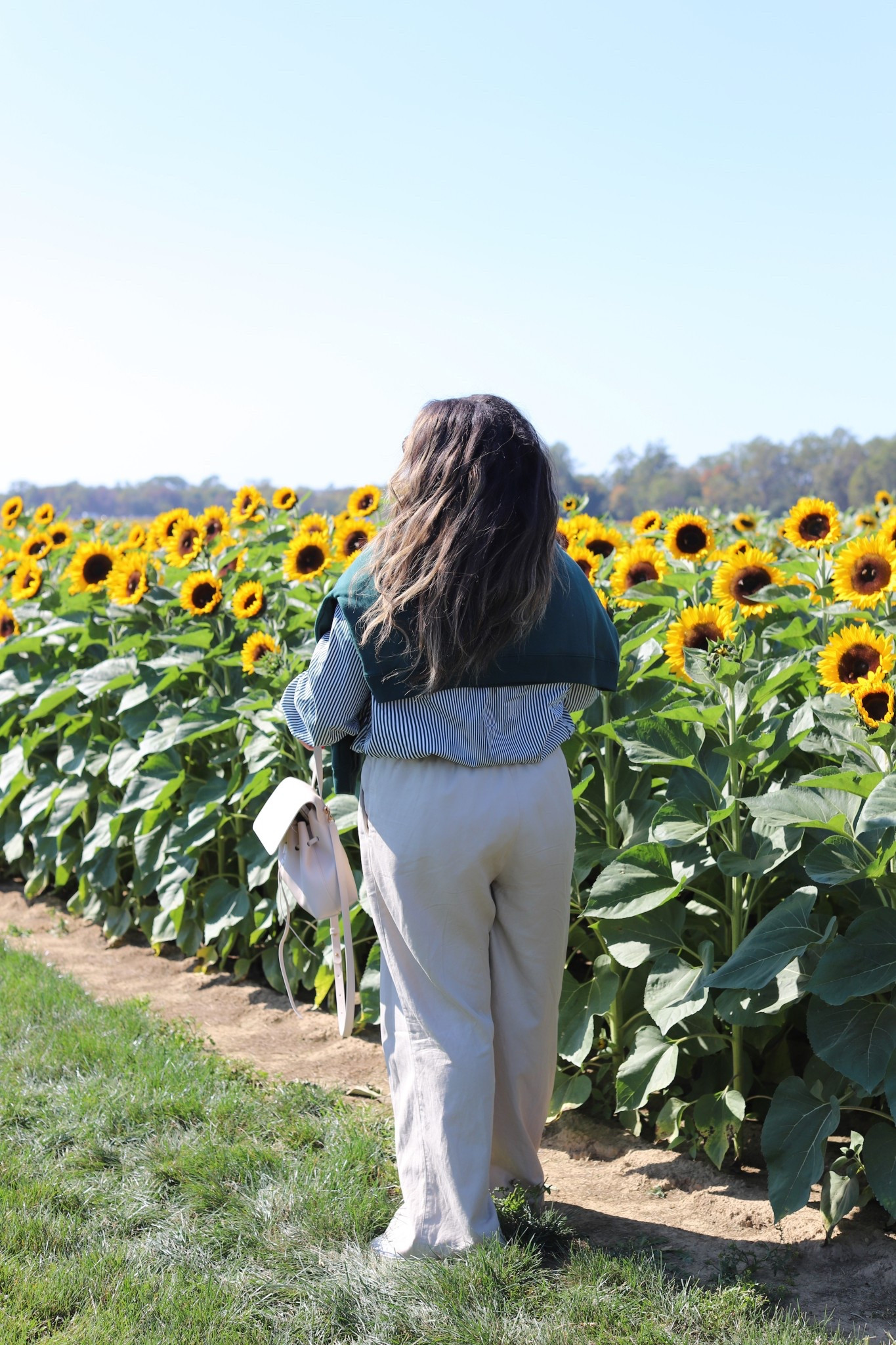 East Coast Fall Outfsunflower

#LTKStyleTip #LTKSeasonal #LTKFindsUnder100