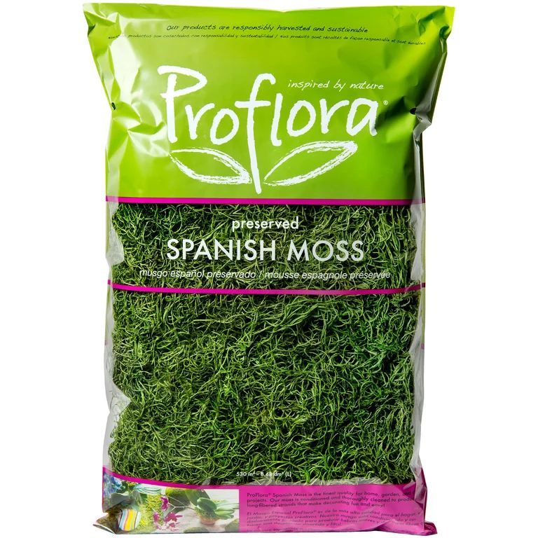 Spanish Moss True Green, 16 Oz. | Walmart (US)