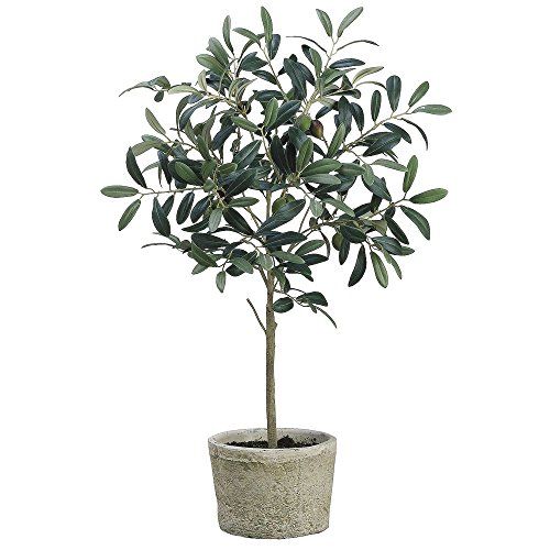 Artificial Olive Tree in Pot 26"H | Amazon (US)